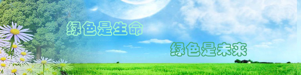 上海唐华化工填料有限公司